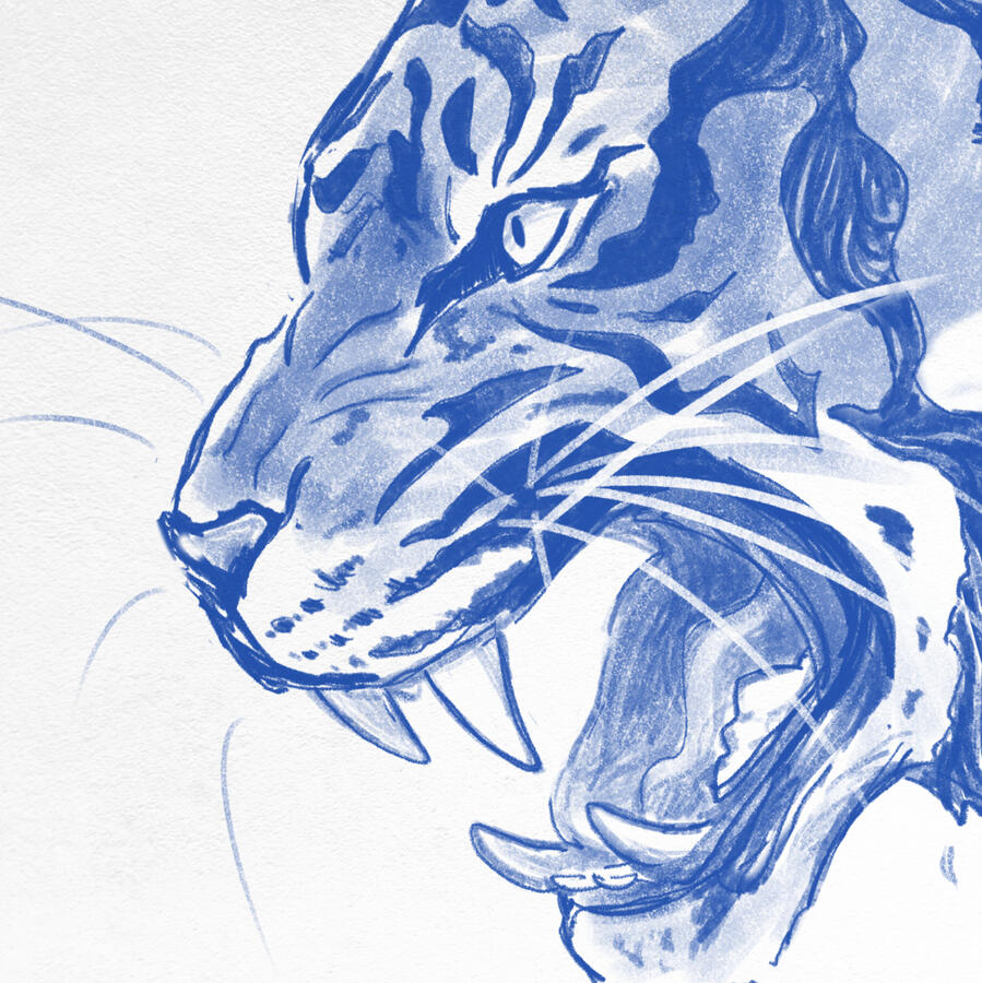 Year of the Tiger